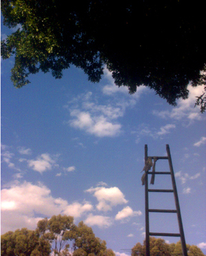 A ladder rasing up into the sky