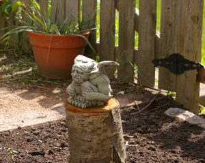 Our gargoyl sitting on a stump.