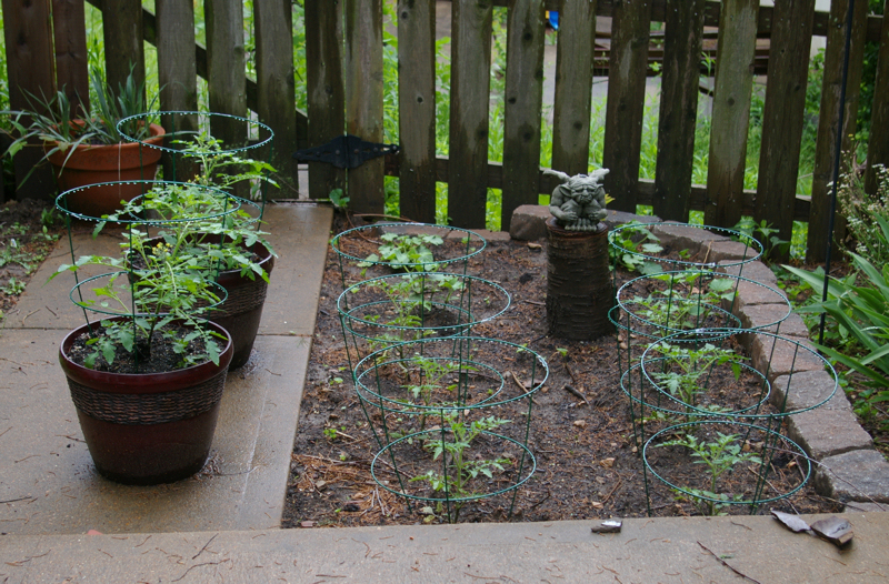 20120507_GardenShot The garden plot